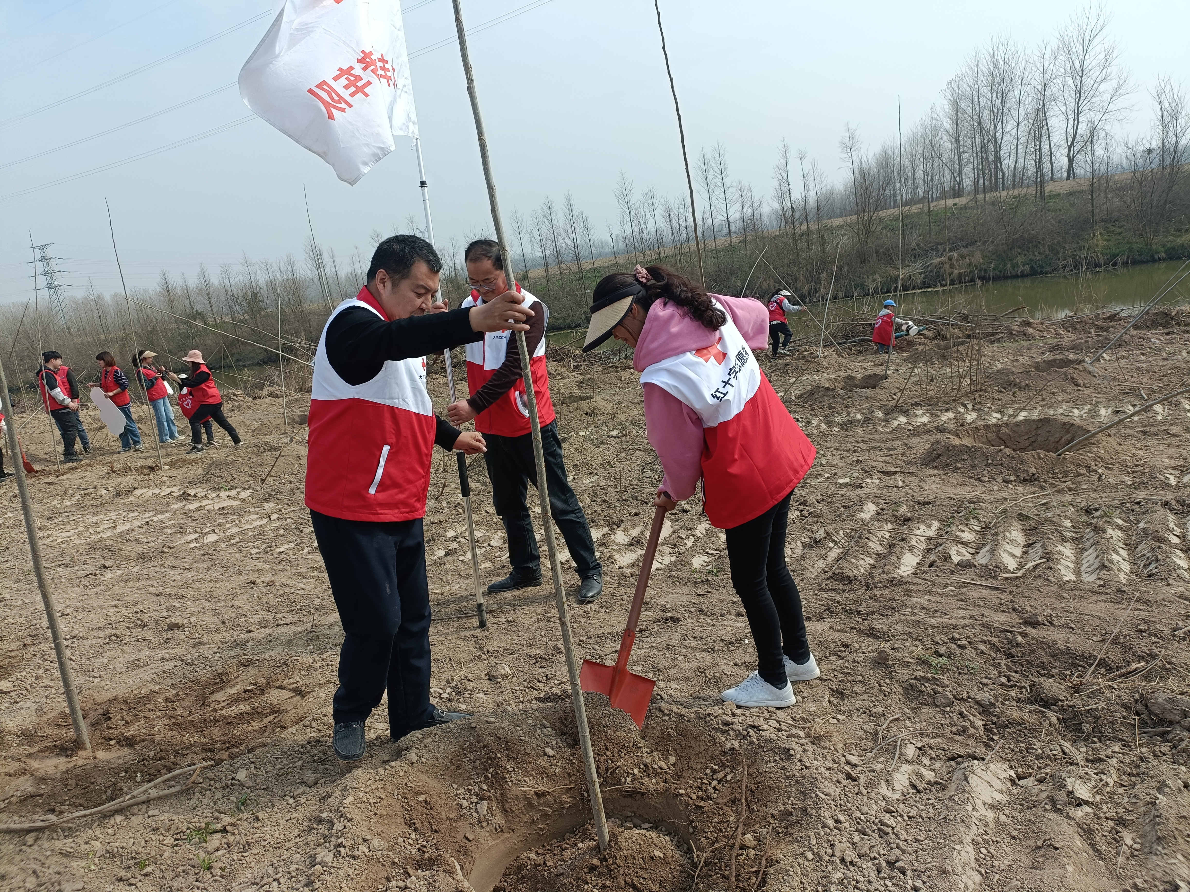fe3b98173803e1b943a6245d3383e00.jpg