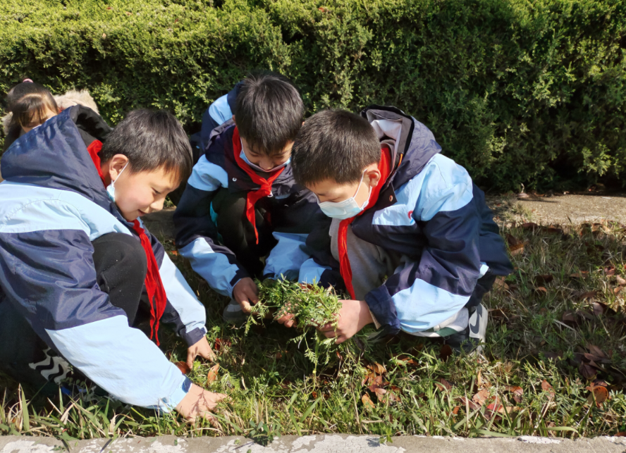 4.20希望小学.png
