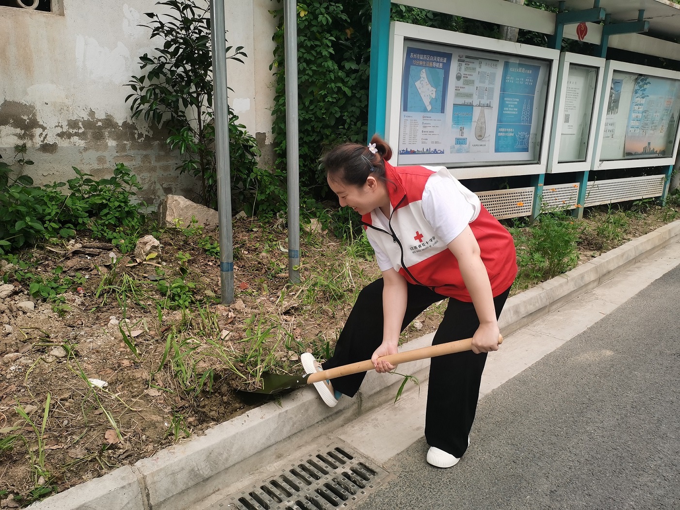 铲除杂草.jpg
