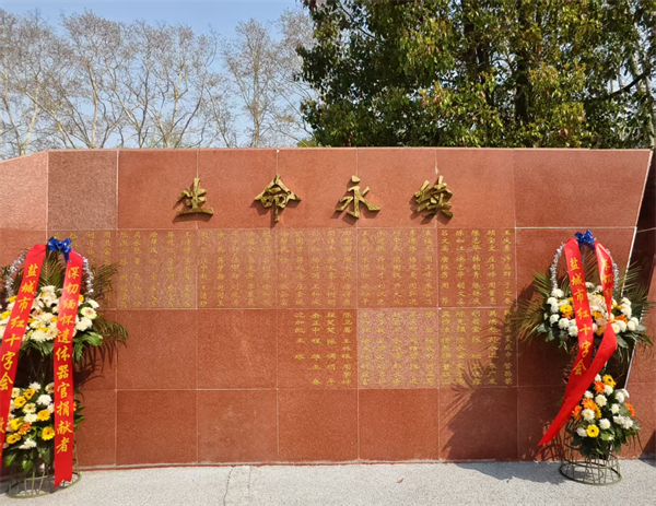图片12.png